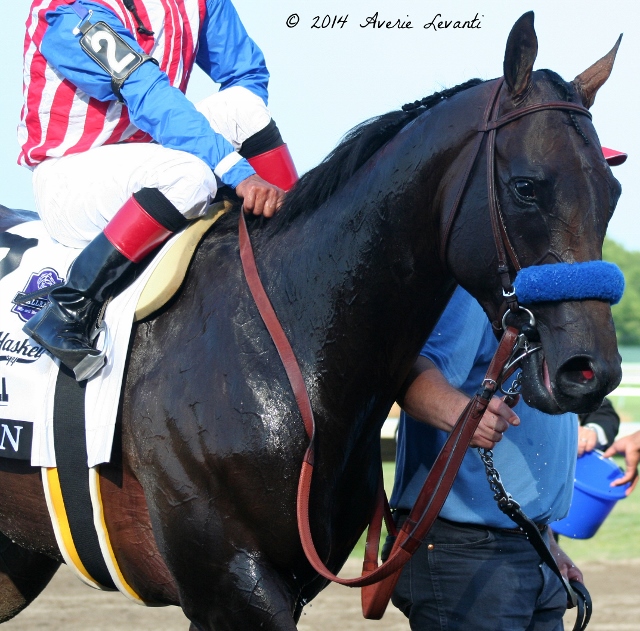 Through The Lens Haskell Day